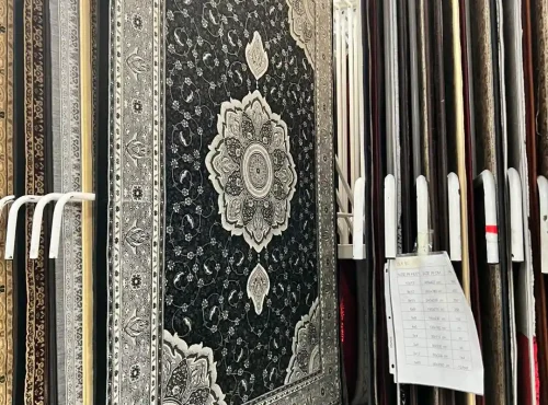 493058790_1217781507021892_8676151596252082923_n